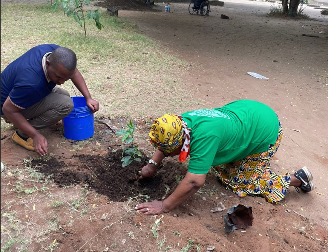 Tree Planting 2